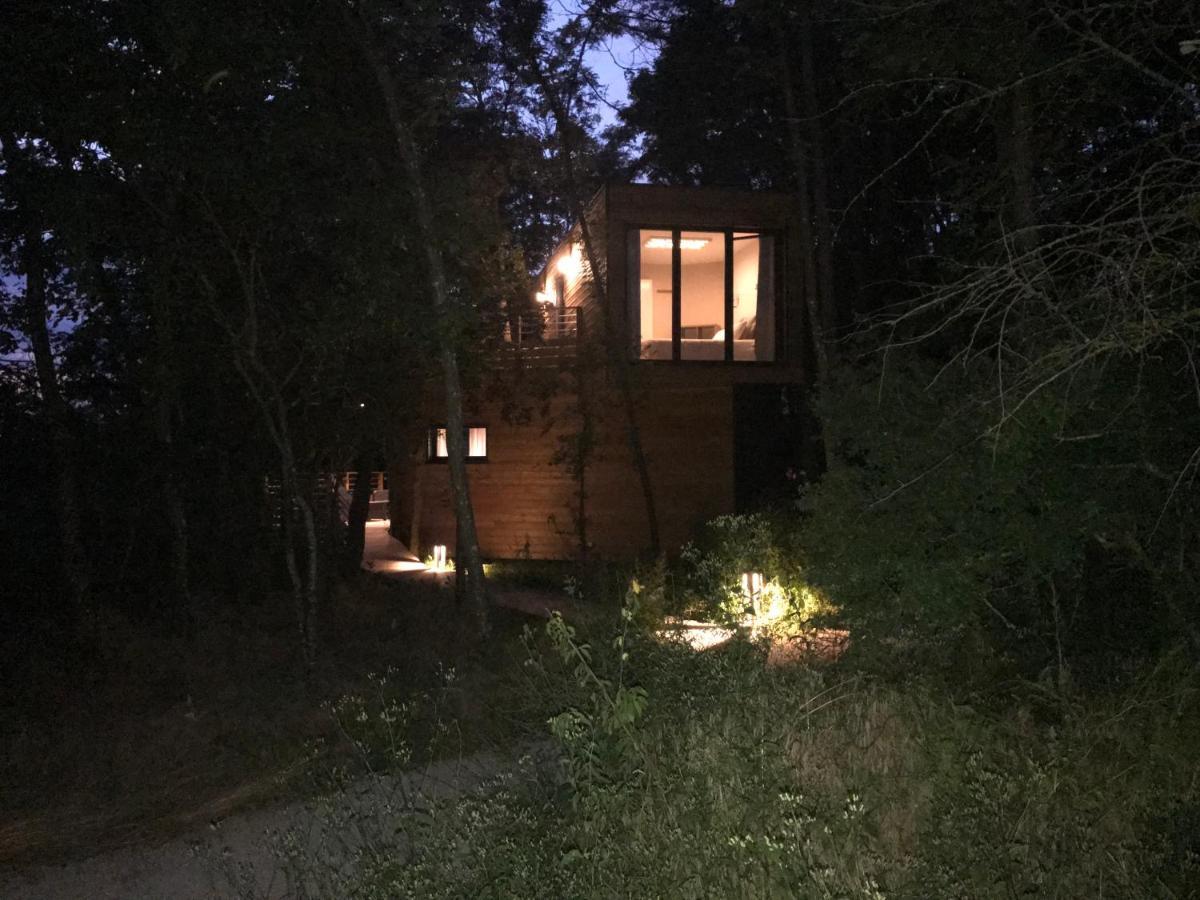 Les Cocons De L'Illon Bed and Breakfast Ville-sur-Illon Esterno foto
