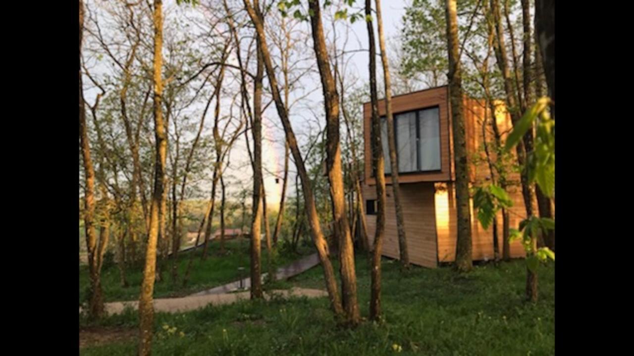 Les Cocons De L'Illon Bed and Breakfast Ville-sur-Illon Esterno foto